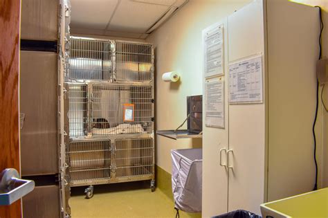 Tabby's Place – A Cage.